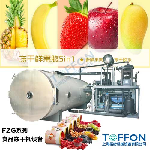 食品凍干機(jī) 果蔬凍干機(jī)  拓紛機(jī)械設(shè)備FZG系列冷凍干燥機(jī)